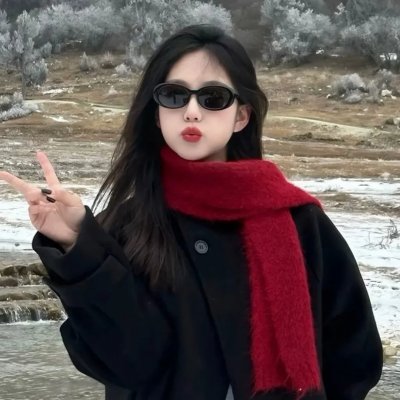 国土安全第二季