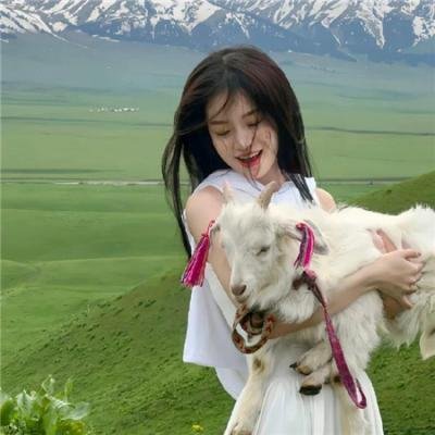 白奶牛之歌